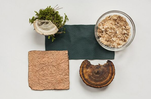 Woola、LivingPackets 和 Releaf Paper 入圍 LVMH 創(chuàng)新設(shè)計(jì)獎(jiǎng)決賽