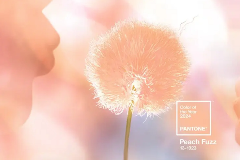 Pantone 2024年度顏色：新的一年，新的趨勢(shì)